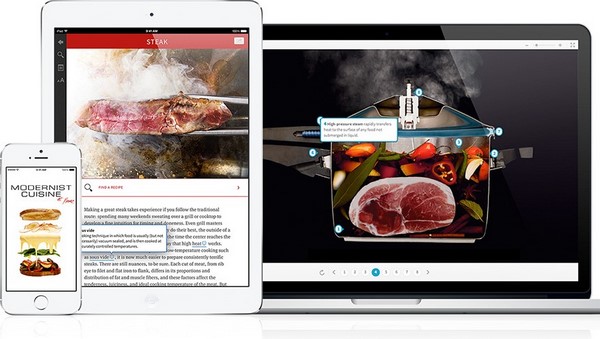 http://modernistcuisine.com/books/modernist-cuisine-at-home-app/