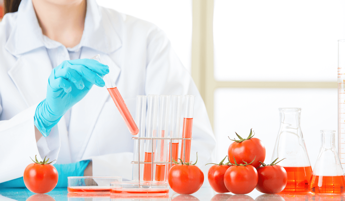 食品の科学者はどんな研究しているの？最新研究をわかりやすく紹介！