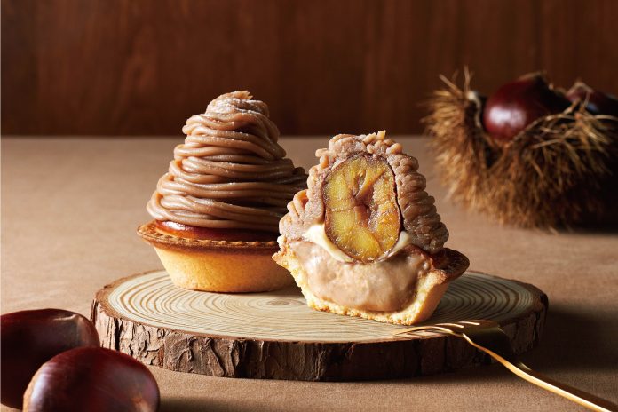 なぜ『やまえ栗』は極上なのか？村の誇りをかけた、復活への挑戦