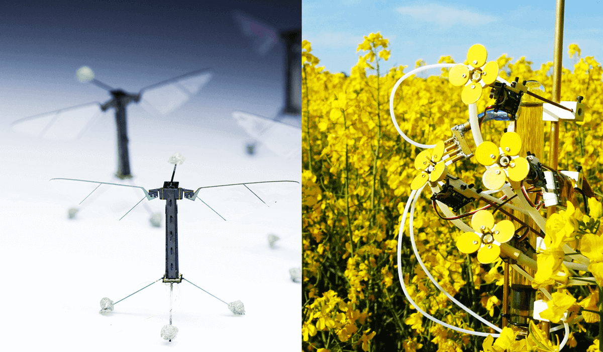 「蜂型ロボ」に「花型ロボ」──農園を支える”影の労働者”不足をロボットで解決