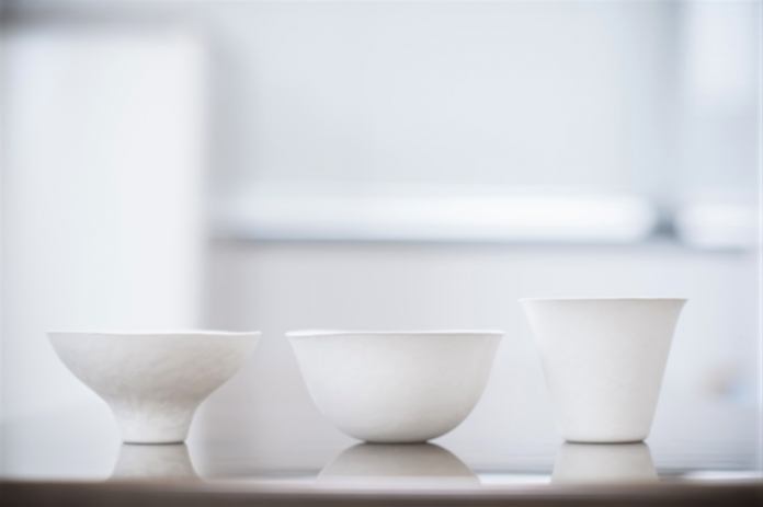 提供価値の軸を変え、新たなニーズを開拓する。紙の器を美しく、使いやすい存在へと進化させた「WASARA」の軌跡